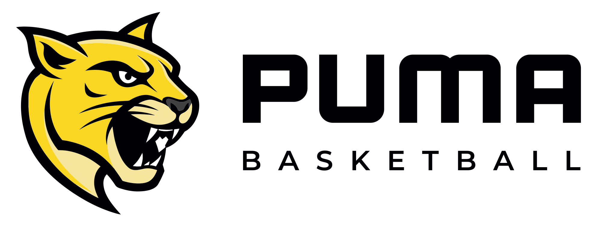 Primary-logo-Wide